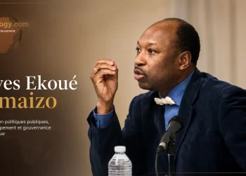 De la Françafrique à la Chinafrique