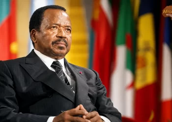 Illusions démocratiques en Afrique