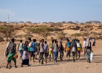 Les migrants africains sont moins nombreux que les migrants européens