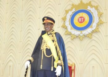 Togo : Les véritables enjeux d’une révision Constitutionnelle