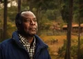 Le Feu des origines, d’Emmanuel Dongala