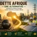 Zambie : transformer la dette en énergie - Afrology Group