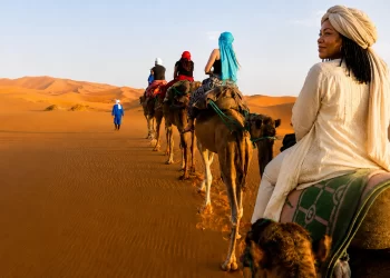 Stabilité socio-politique et économie du tourisme : le Maroc, leader africain selon l’OCDE