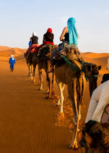 Stabilité socio-politique et économie du tourisme : le Maroc, leader africain selon l’OCDE
