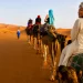 Stabilité socio-politique et économie du tourisme : le Maroc, leader africain selon l’OCDE