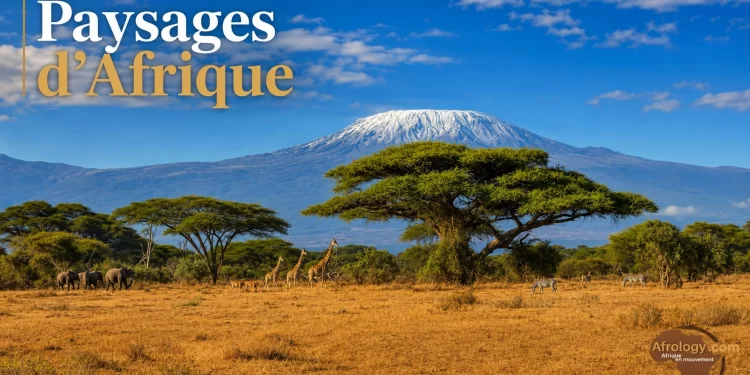 Tanzanie : le tourisme, moteur économique ou richesse encore inégalement partagée ?