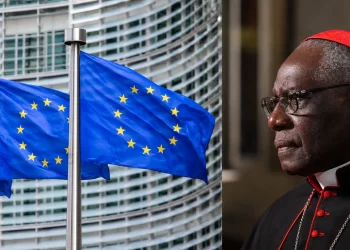 Le cardinal Sarah dénonce une « colonisation idéologique » de l’Afrique