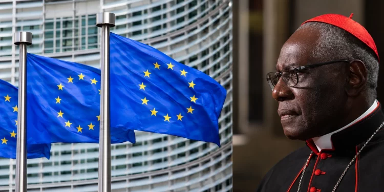 Le cardinal Sarah dénonce une « colonisation idéologique » de l’Afrique
