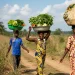 Agriculture et ressources naturelles : le grand chantier capable de sauver l’Afrique